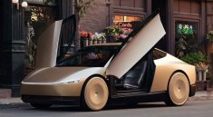 Tesla Robotaxi