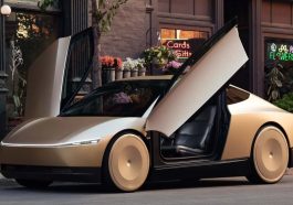Tesla Robotaxi